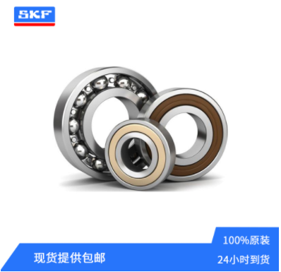 SKF6203-2ZϵS